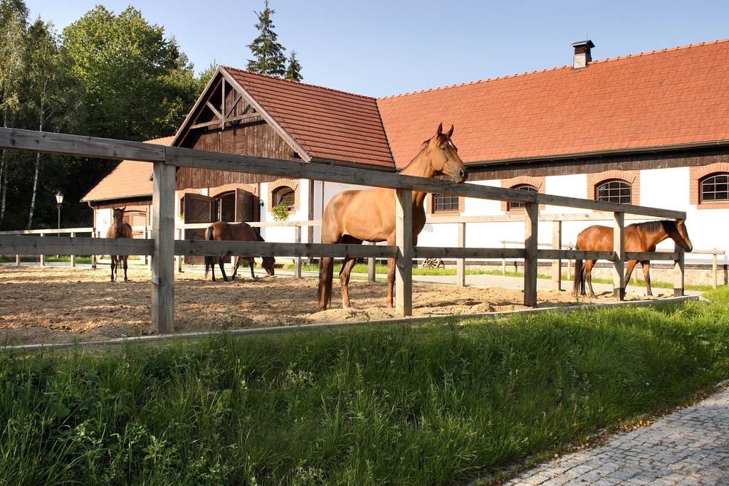 Hotel Spa Dr Irena Eris Wzgorza Dylewskie Wysoka Wies Exterior photo